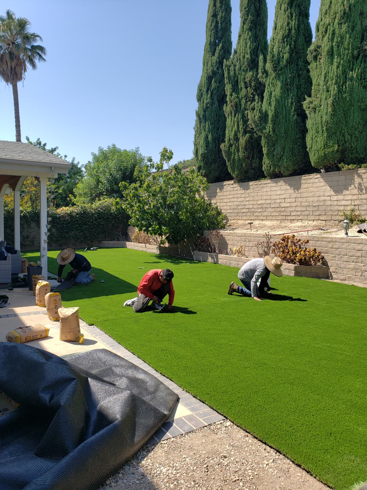 Para Artificial Grass